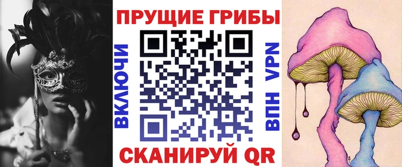 Купить закладки  Лесозаводск  Псилоцибиновые грибы мухоморы 